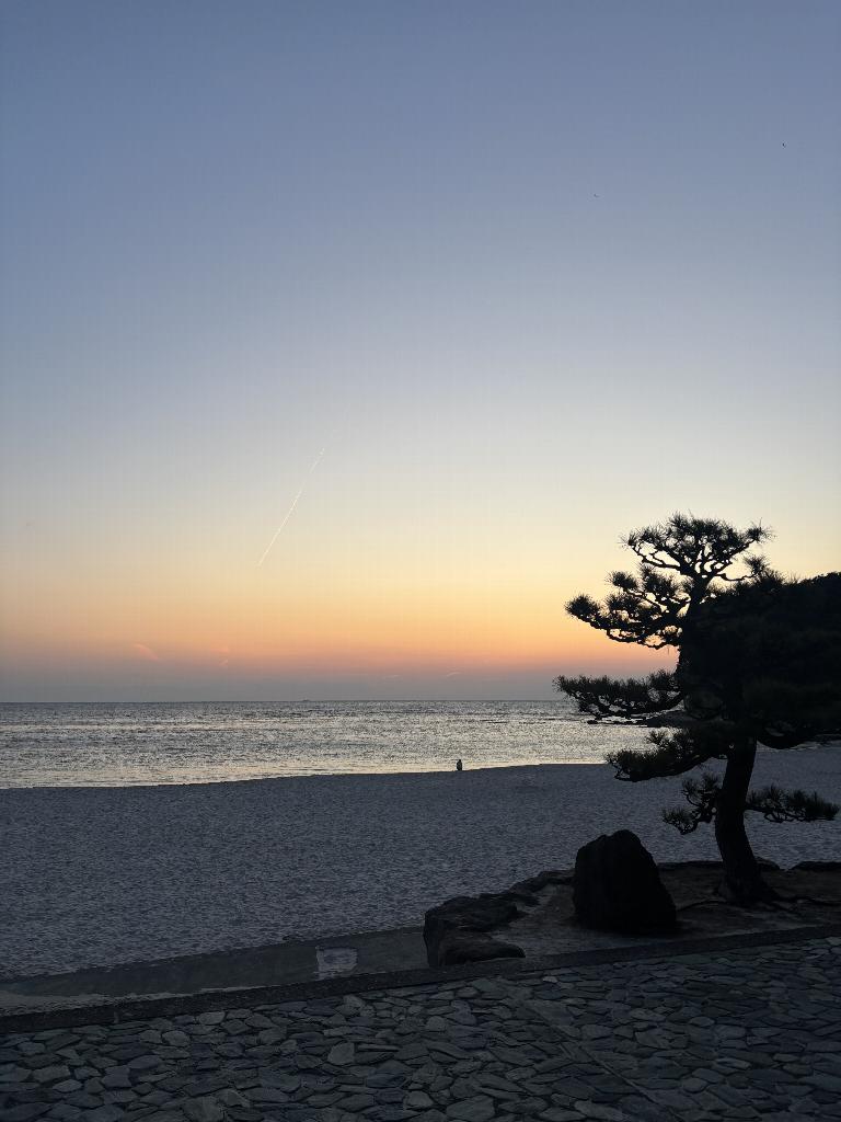 若葉めい